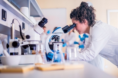 Kluczowe wyposażenie laboratorium, czyli co musi znaleźć się w każdej pracowni Kluczowe wyposażenie laboratorium, czyli co musi znaleźć się w każdej pracowni