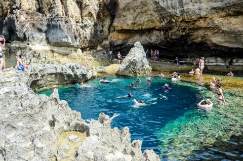 edukacja za granicą