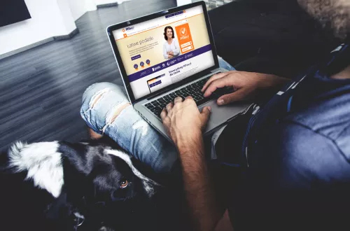 program-do-wypełniania-pitów