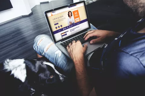 program-do-wypełniania-pitów